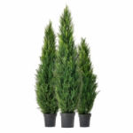 ЭльХолл интернет-магазин отзывы