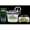 Микроферма Dream Sprouter отзывы