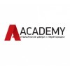 Двери Academy отзывы