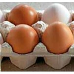 "Щелковская птицефабрика" ЗАО отзывы