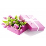 Ангел (Angel) организация праздников отзывы