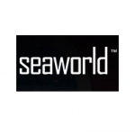 Компания Rutelfer отзывы