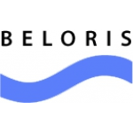 Интернет-магазин Beloris (Белорис) отзывы