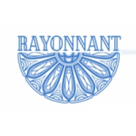 Рейоннант проектно-строительная компания отзывы