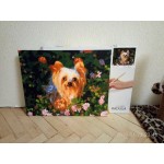 Colornumbers, товары для творчества отзывы