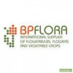 Компания BPFlora отзывы