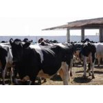 ООО "ВБ ГРУПП" отзывы