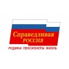 Справедливая Россия отзывы