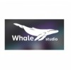 Whale Studio разработка и продвижения сайтов отзывы