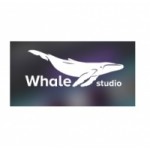 Whale Studio разработка и продвижения сайтов отзывы