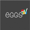 eggstv.ru отзывы