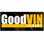 GoodVin Expert диагностика автомобилей отзывы
