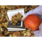 Книга «Дом странных детей» отзывы