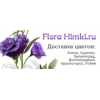 Flora Himki.ru отзывы