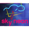 Компания Skyneon отзывы