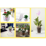 Аквакашпо 2 в 1 отзывы