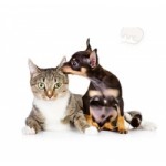 Центр ветеринарной клиники на Каховке отзывы