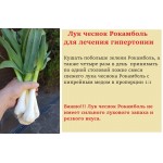 рокамболь отзывы