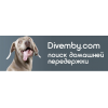 Divemby - сервис по передержке питомцев в домашних условиях отзывы