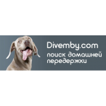 Divemby - сервис по передержке питомцев в домашних условиях отзывы