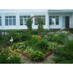 Детский сад № 1249, Москва отзывы