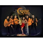 Кавер-группа Оранжевый VINIL отзывы