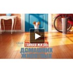 Тайная жизнь домашних животных отзывы