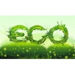 Компания GC ECO отзывы