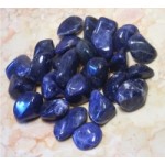 Good Local отзывы