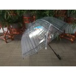 Зонт-купол «Райская птица» отзывы