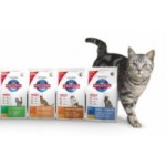 Шторы Пионовый закат отзывы