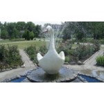 Детский лагерь «Лебедь» отзывы