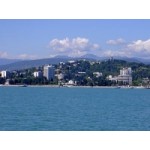 Сочи отзывы