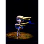 Cirque du Soleil отзывы