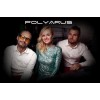 Группа "POLYARUS" отзывы