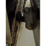 Отель "Воробьиное гнездо" г. Судак, Крым. отзывы