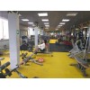 Фитнес-клуб в Одинцово Havana Gym отзывы