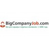 BigCompanyJob.com отзывы