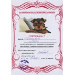 Зоосалон Филимон отзывы