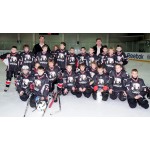 ArenaHD отзывы