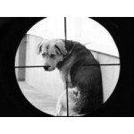 Догхантеры отзывы