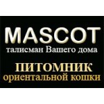 Питомник ориентальной кошки Mascot отзывы